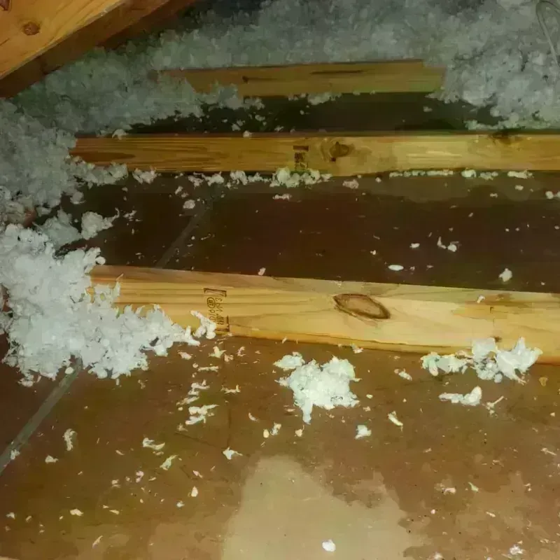 Attic Water Damage in Lake Fenton, MI