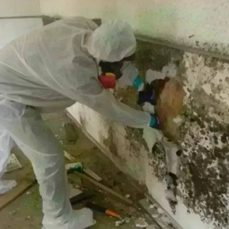 Mold Remediation and Removal in Lake Fenton, MI