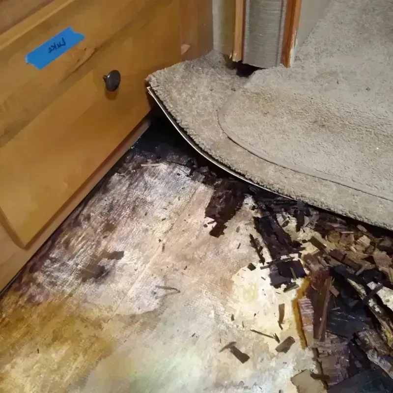 Best Wood Floor Water Damage Service in Lake Fenton, MI